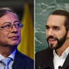 BUKELE CASI NOQUEA A PETRO, Crónica de Gardeazábal