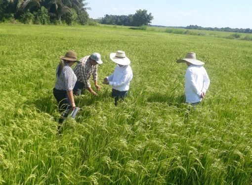 Gobierno Nacional le apunta a reactivar el campo