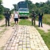 Ejército incauta 360 libras de marihuana en Casanare