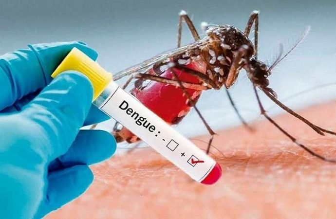 El Dengue es más letal que el COVID-19
