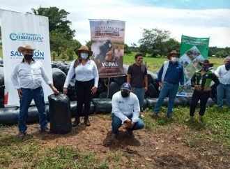 Casanare podría convertirse en referente Nacional en la producción de ensilaje