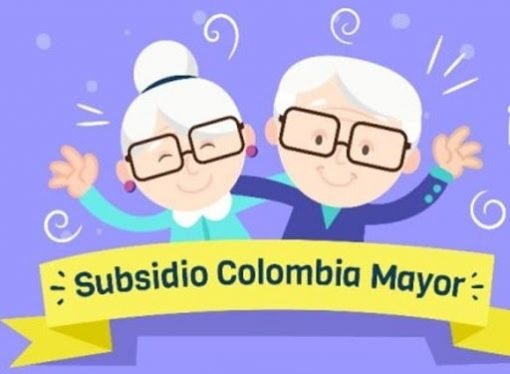 Pagos del Programa Subsidio Económico mes de junio