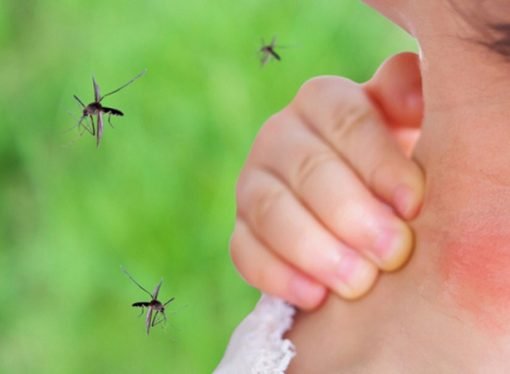 ¿Por qué el dengue puede ser mortal?
