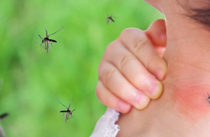 ¿Por qué el dengue puede ser mortal?