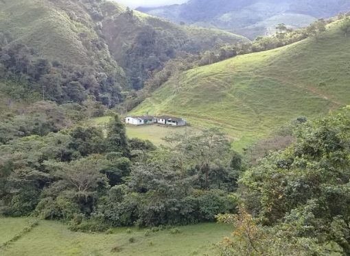 Medida cautelar para proteger 4 mil hectáreas del territorio indígena