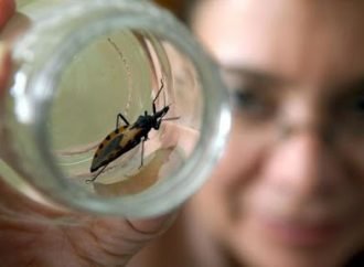 Aumentan casos de Chagas en Casanare