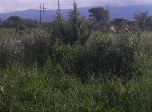 Urbanización Villa Salome II en Yopal es ilegal