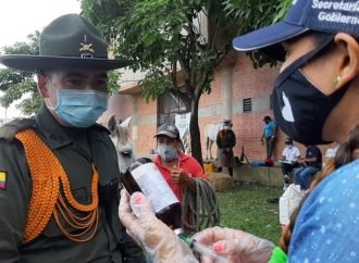 Se realizó jornada sanitaria para equinos de vehículos de tracción animal