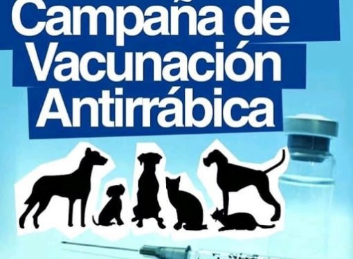 Ciclo de vacunación antirrábica de caninos y felinos en zona rural de Yopal