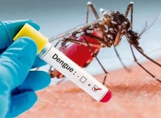 Disminución de Dengue para Casanare, se acerca al 80 por ciento