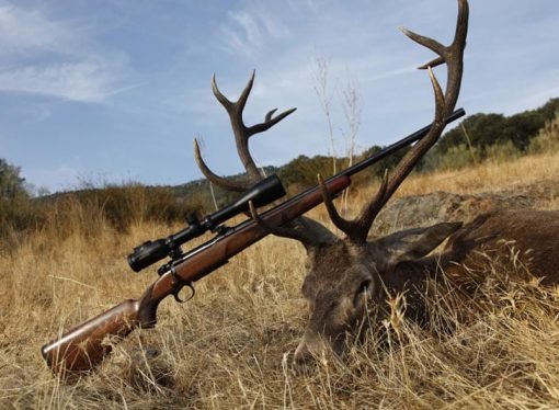 ¡LOS EXÓTICOS PLACERES HUMANOS!