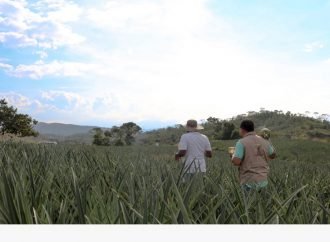 Restitución de tierras a través de planes de desarrollo locales