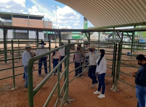 Visita al frigorífico Frontino