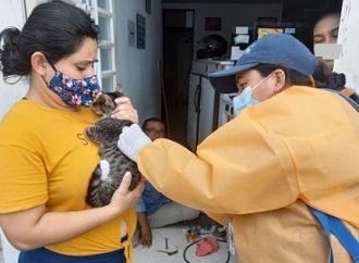 Más de 26 mil animales se han vacunado contra la rabia en Yopal