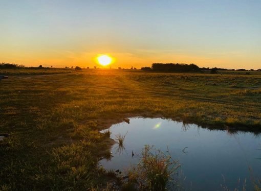 En Vichada hay más de 1.000 solicitudes de restitución de tierras