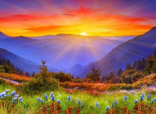 ¡LA LUZ QUE ILUMINA AL MUNDO!