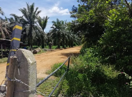 Más de 3 mil hectáreas han recuperados las víctimas del conflicto