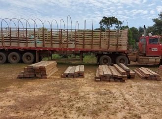 Autoridades decomisaron cargamento de madera ilegal