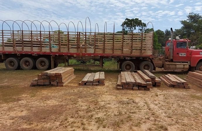 Autoridades decomisaron cargamento de madera ilegal