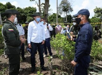 Más de 7 mil hectáreas de cultivos ilícitos erradicadas este año