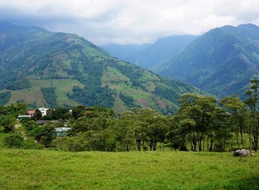 Campesino desplazado que evitó el reclutamiento de sus hijas por las FARC, regresará a su predio en zona rural de Villavicencio