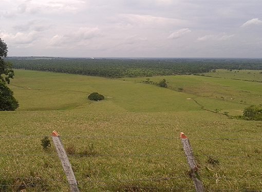 Casanare avanza en la formalización de predios