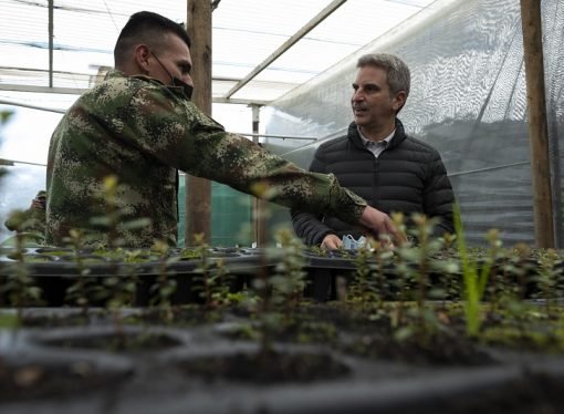 Por incendios en Páramo Santurbán, Min ambiente y Ejército inician plan de Restauración de zonas afectadas