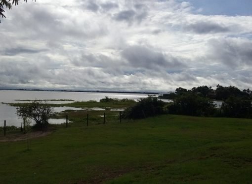 “LOS HUMEDALES SON PRODUCTORES Y PROMOTORES DE VIDA”: MINAMBIENTE