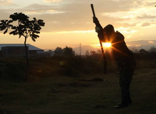 Pequeños y medianos productores de Cundinamarca podrán asegurar sus cultivos ¡Postúlese aquí!