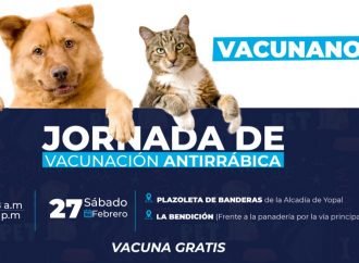 Este sábado jornada gratuita de vacunación felina y canina en Yopal