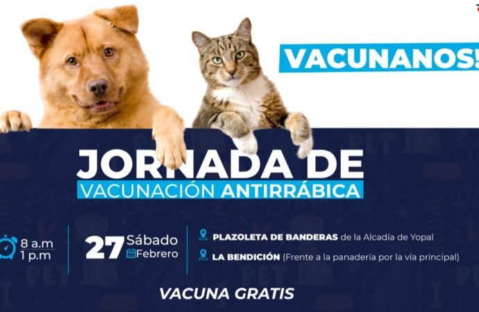 Este sábado jornada gratuita de vacunación felina y canina en Yopal