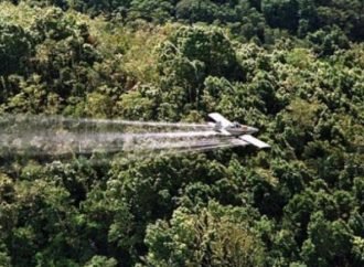 Así va pulso por reanudar fumigaciones con glifosato