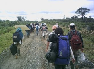 En Orocué familias que fueron desplazados por la violencia regresarán