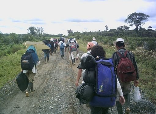 En Orocué familias que fueron desplazados por la violencia regresarán