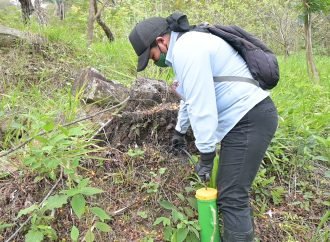 317 hectáreas de la cuenca del río Cravo Sur serán reforestadas