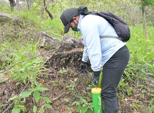 317 hectáreas de la cuenca del río Cravo Sur serán reforestadas