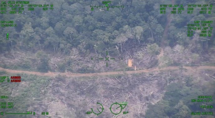 Ordenan cerrar trocha ilegal que deforestó 30 kilómetros de selva