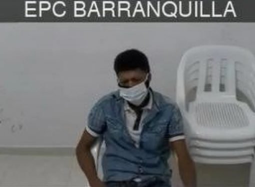 Hombre que mató un gato fue condenado a 7 años de prisión