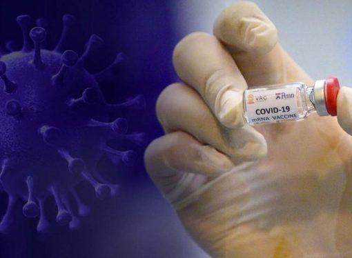 CRÓNICA DE GARDEAZABAL, ANTES DEL CAOS