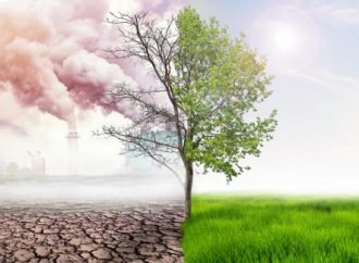 Estrategia ‘Colombia Carbono Neutral’, apuesta para combatir el cambio climático