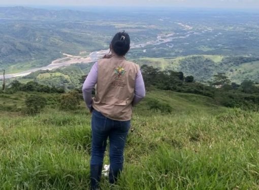 Familia en Casanare recuperó 456 hectáreas abandonadas por presión de las Autodefensas