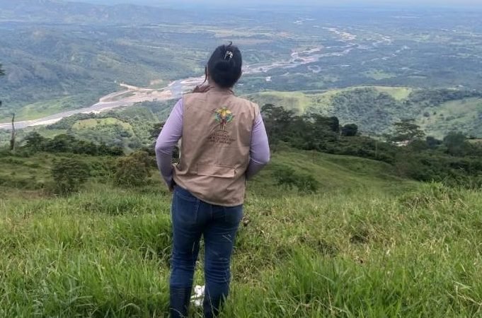 Familia en Casanare recuperó 456 hectáreas abandonadas por presión de las Autodefensas