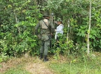 Ordenan restituir 18 hectáreas de tierra a familia en el Meta