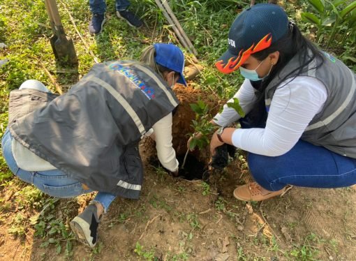 En el Internacional de la Tierra fueron sembrados 400 arboles en la Bendición