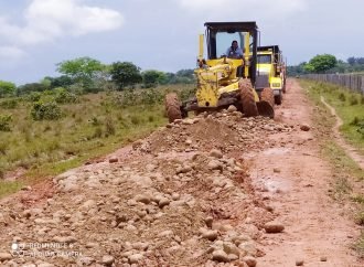Intervenidos 38 km de via la Tigresa-Santa Teresa y Miramar de Guanapalo en San Luis