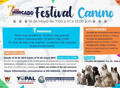 Inscripciones abiertas para festival canino