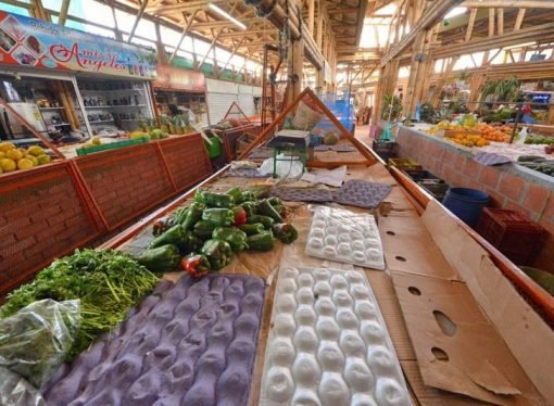 CRÓNICA DE GARDEAZÁBAL, CORREDORES HUMANITARIOS