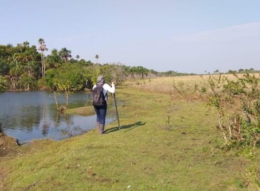 Compensación a familia desplazada en Mapiripán