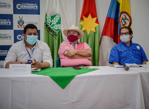 Las importaciones de arroz no afectan al gremio  según Minagricultura