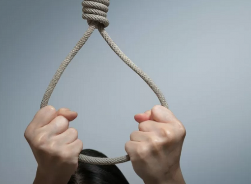 CRÓNICA DE GARDEAZÁBAL, EL SUICIDIO